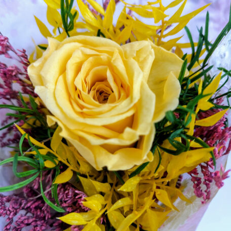 Mein kleiner Sonnenschein