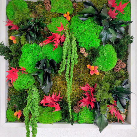 Wunderschöne Naturlandschaft