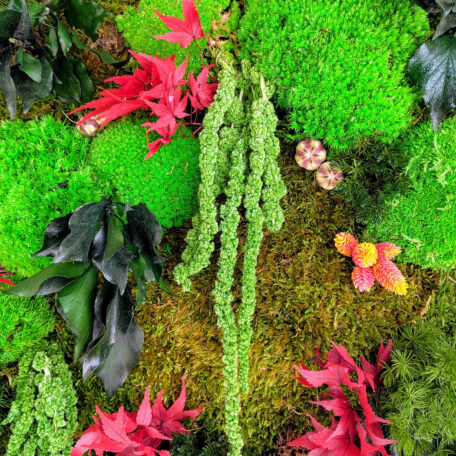 Wunderschöne Naturlandschaft