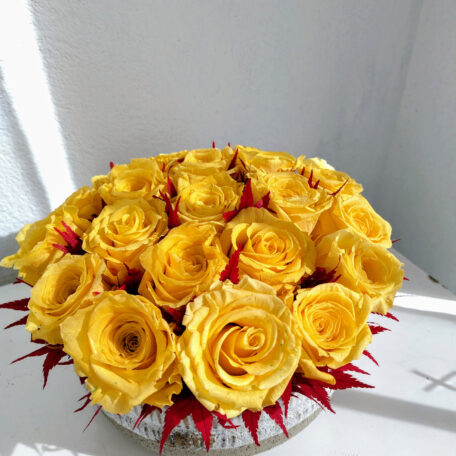 Arrangement - Die Sonne