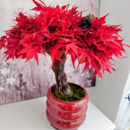 Künstlicher Bonsai 