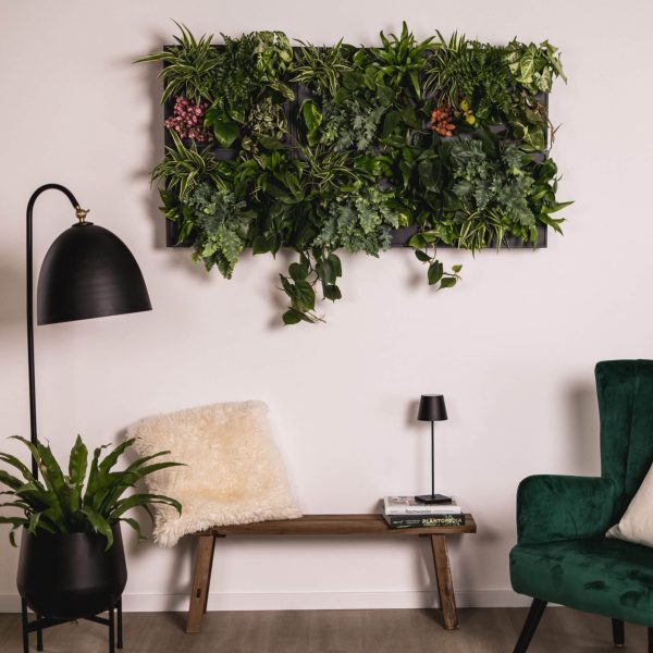 2023 Urban Greenery 17_Quadratique