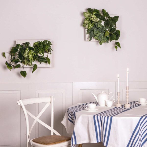 2023 Urban Greenery 77_Quadratique