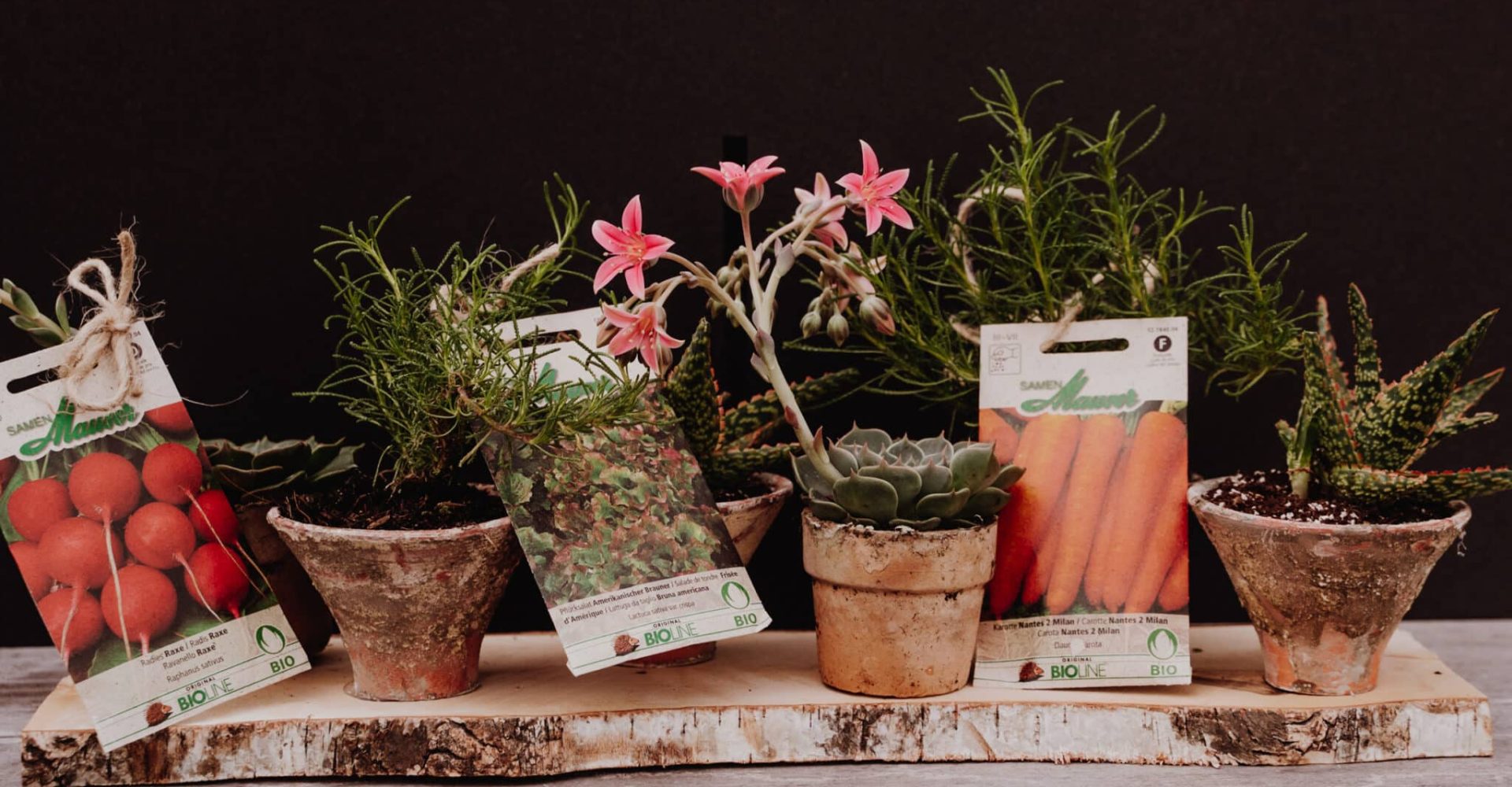 220531_Dekotipp_Sommer_055