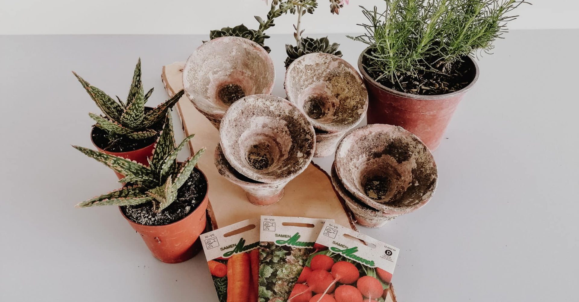 220531_Dekotipp_Sommer_162