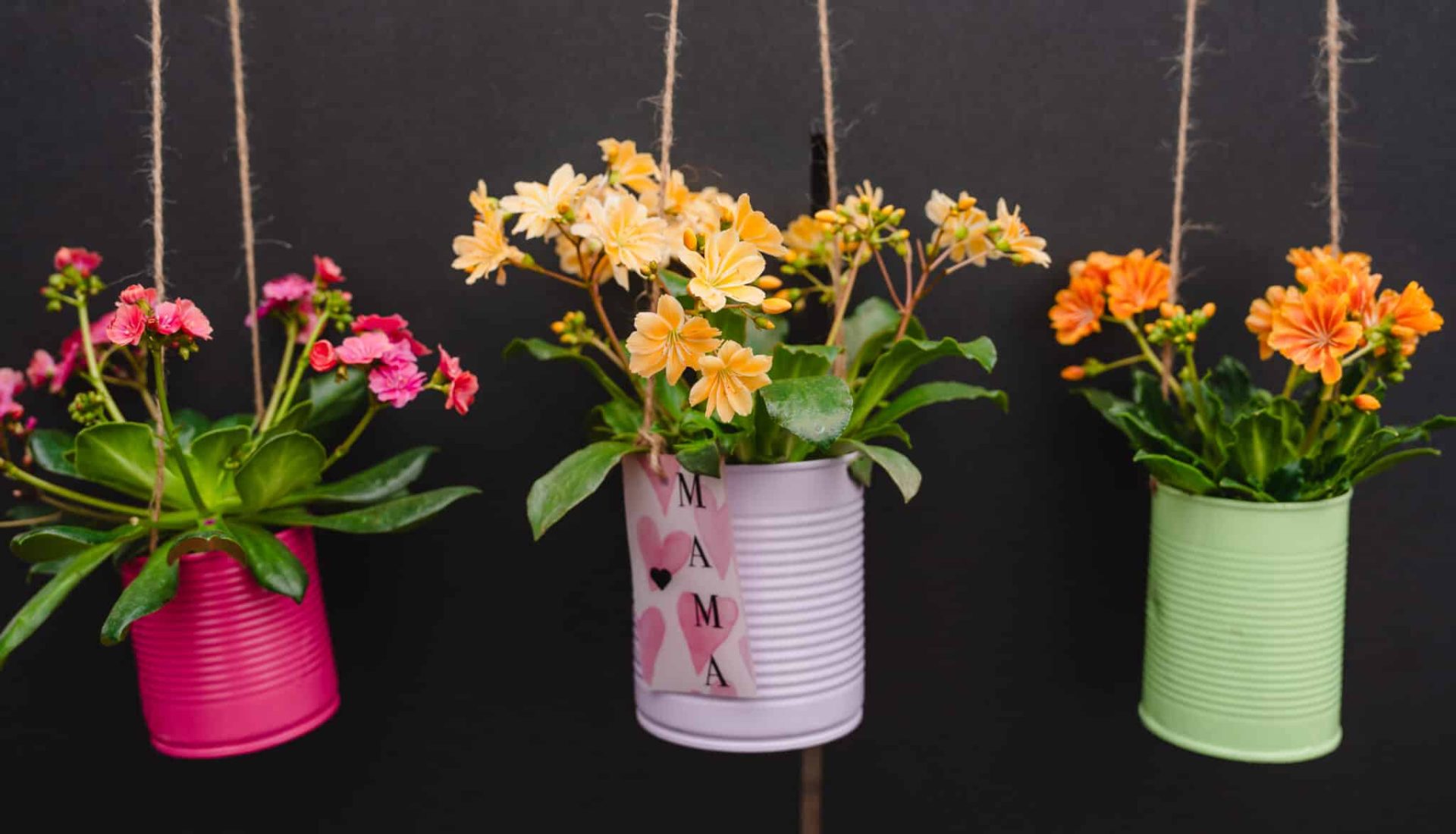 240228_Dekotipp-Muttertag_088