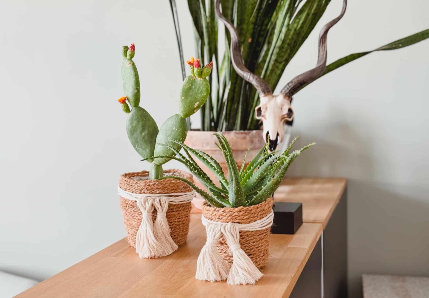 240612_Dekotipp_Sommer149