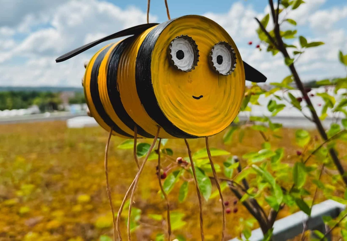 240612_Dekotipp_Sommer178