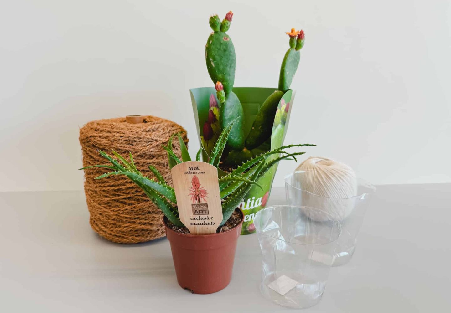 240612_Dekotipp_Sommer7