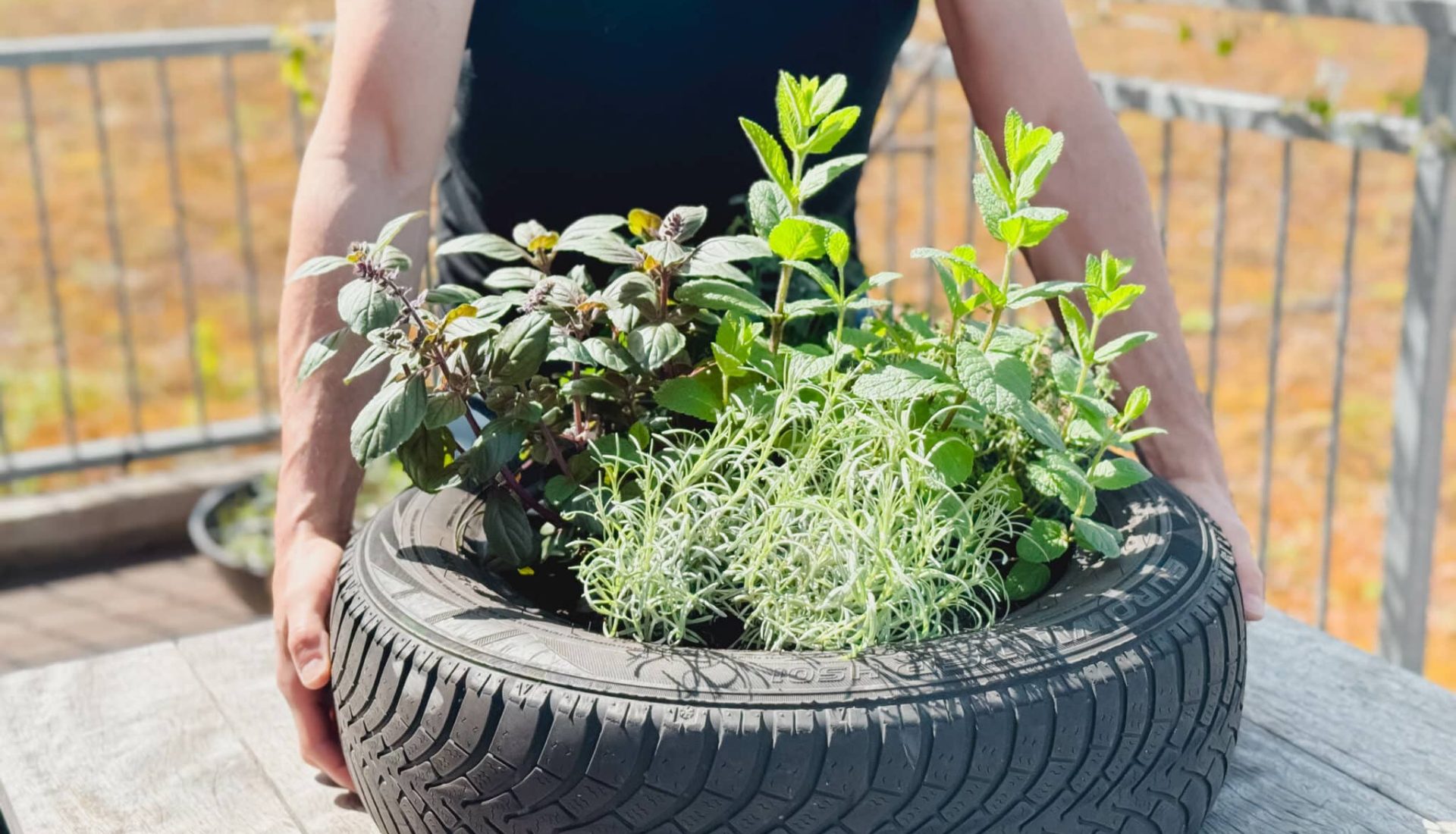 Bepflanzter-Reifen_20