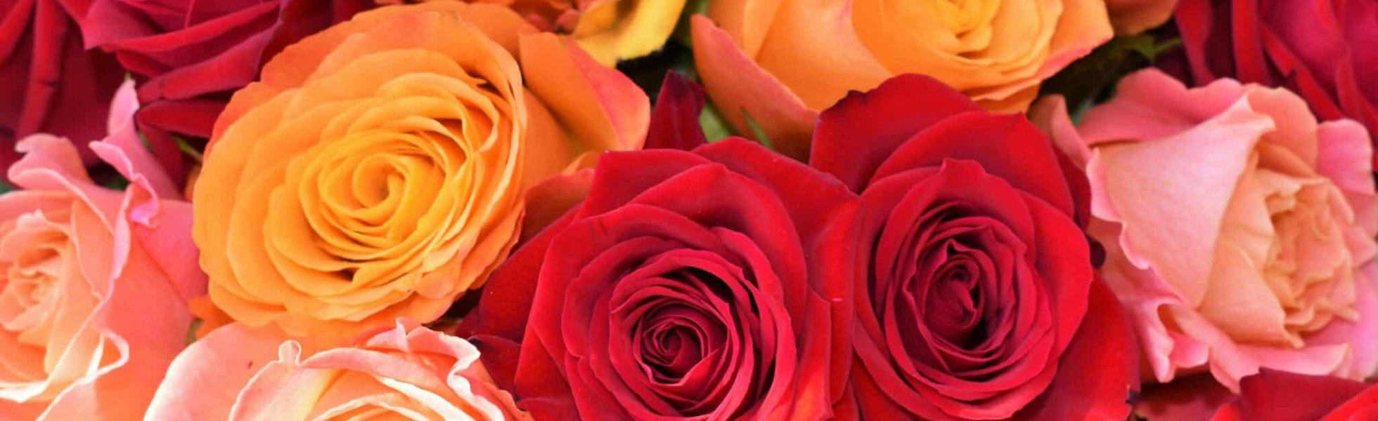 waldemar-sycOtFg3SBc-unsplash